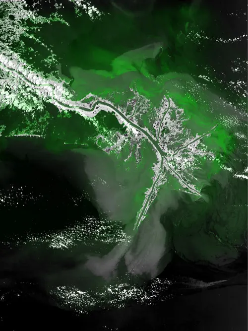 Identify Wetlands
