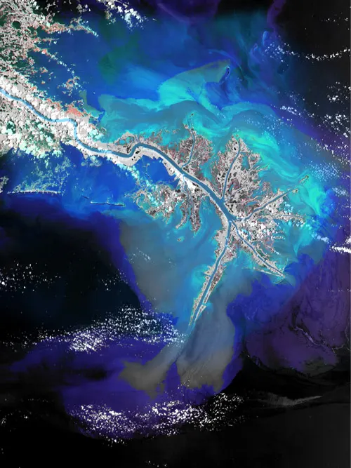 Monitor Biodiversity