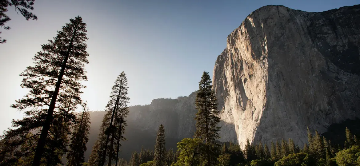 Tall pine trees and a mountain cliff at sunrise, symbolizing sustainability in a feature about NorthStar ranking in Canada’s top 50 green companies.