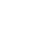 NorthStar Earth & Space tree icon.