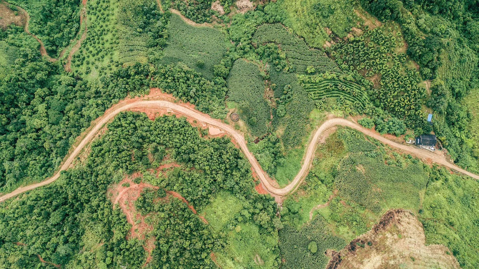 Aerial view of a winding dirt road cutting through dense green forest and agricultural land
